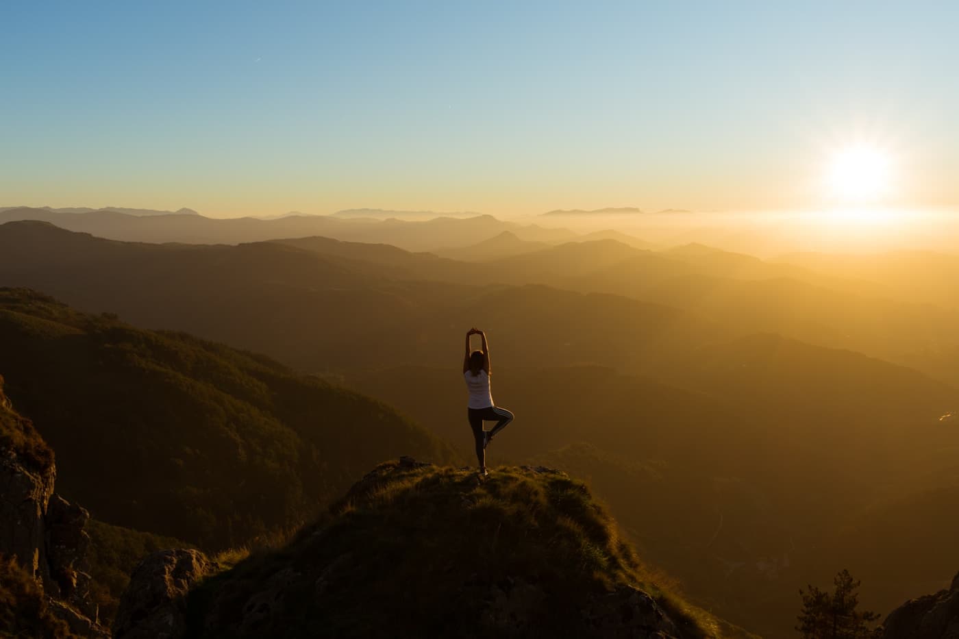 Two people walking in nature — life coaching for forward momentum